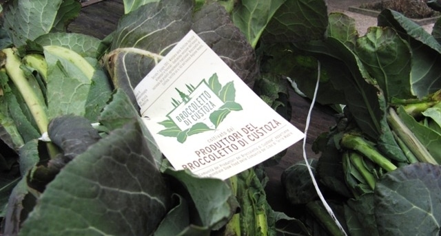 Broccoletto di Custoza Broccoletto di Custoza