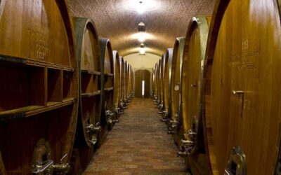 Il vino Custoza: tra storia e tradizione