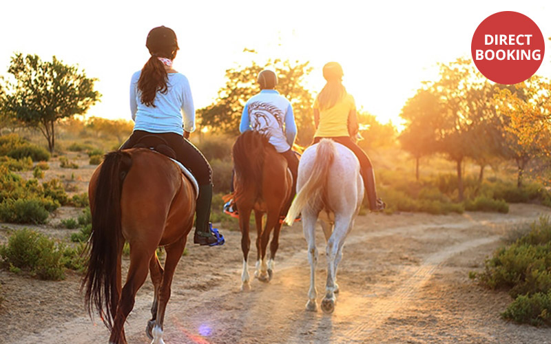 Reiten1