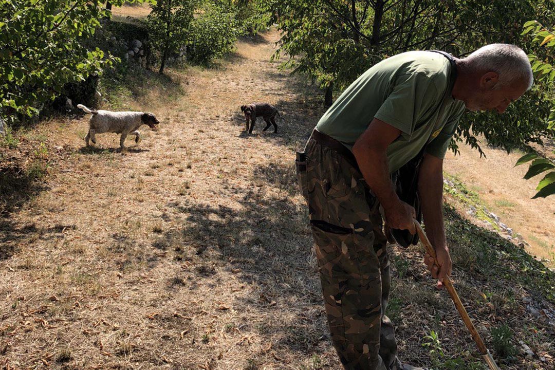 Valpolicella Truffle Hunting