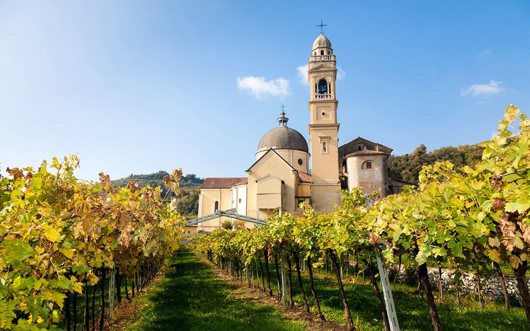 Valpolicella Amarone wine tours from Verona