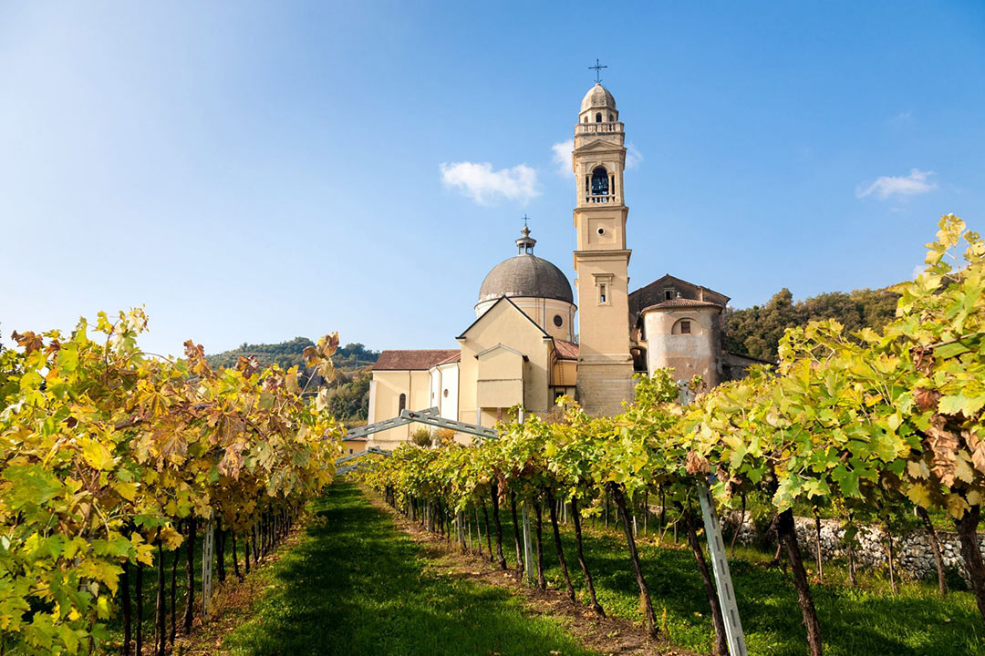 Tour del vino Valpolicella Amarone da Verona