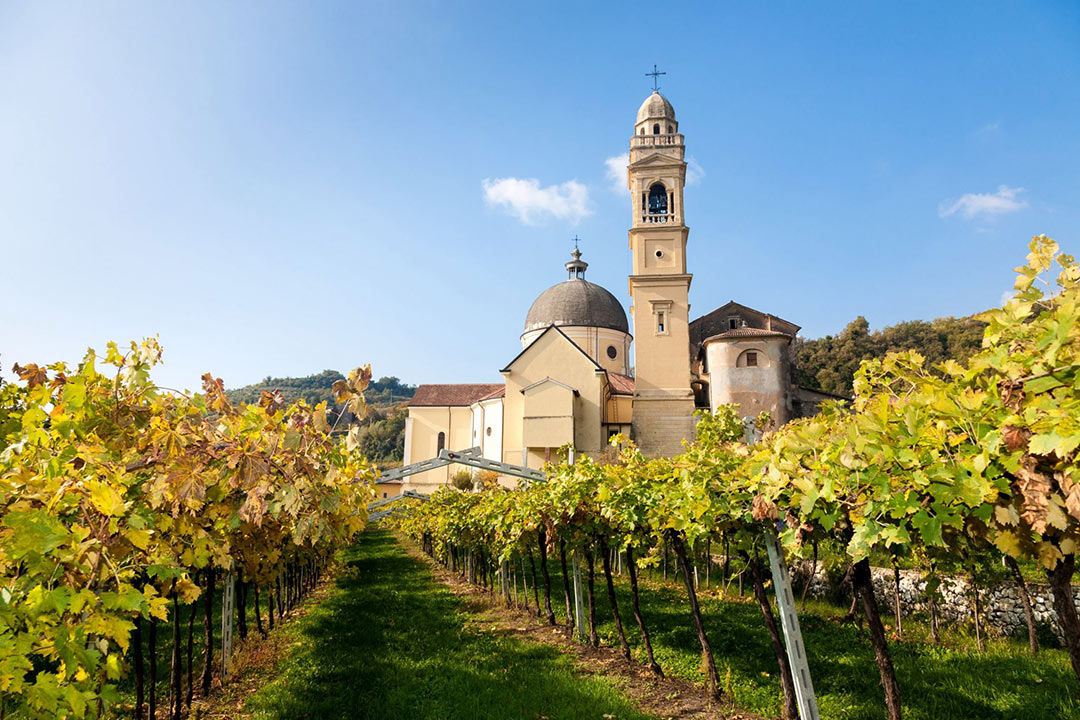 Marano di Valpolicella